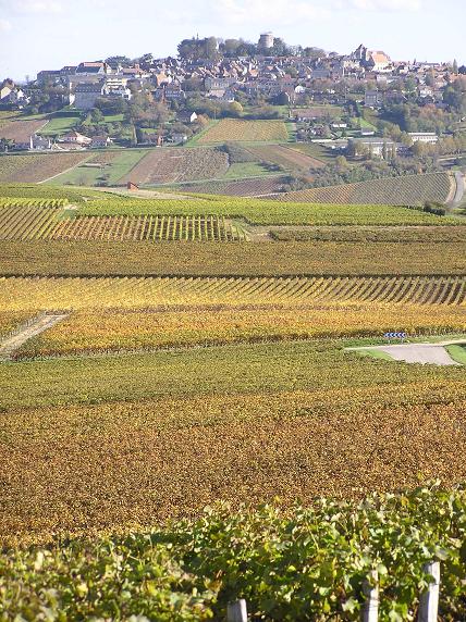Sancerre 2