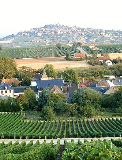 Verdigny 8