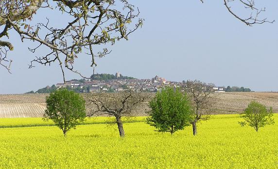 Sancerre 1