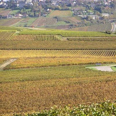 Sancerre 2